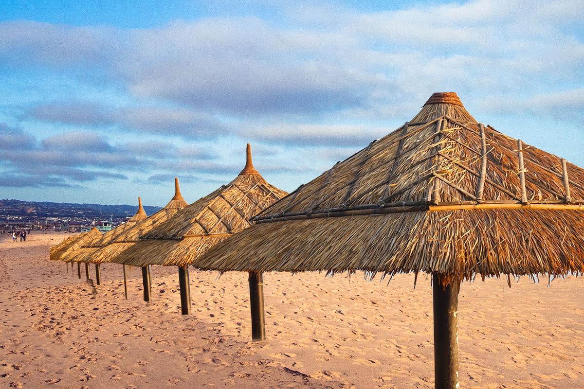 Yoğun Gölgeliğin Gücü: Saz Kamış Şemsiye