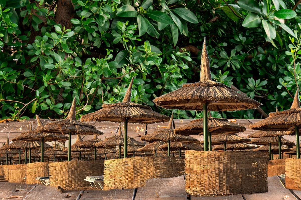 Doğanın Gölgesi: Kamış Şemsiye ile Serinliğin ve Şıklığın Keyfini Yaşayın